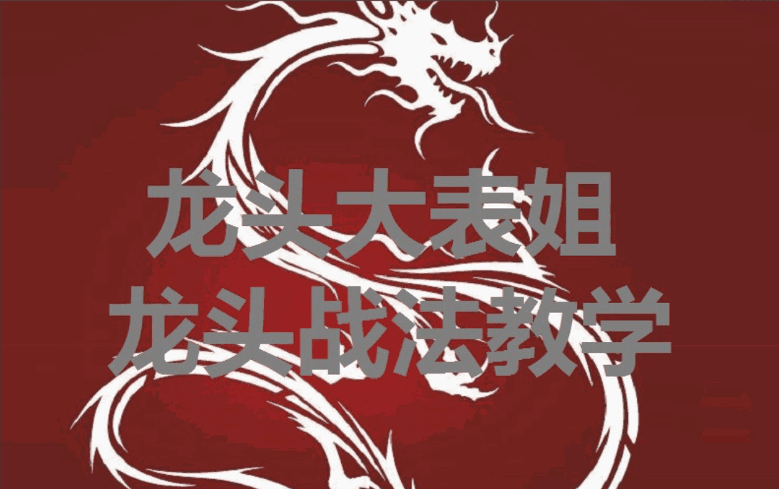 【龙头大表姐】龙头战法内训课-大熊猫资源站