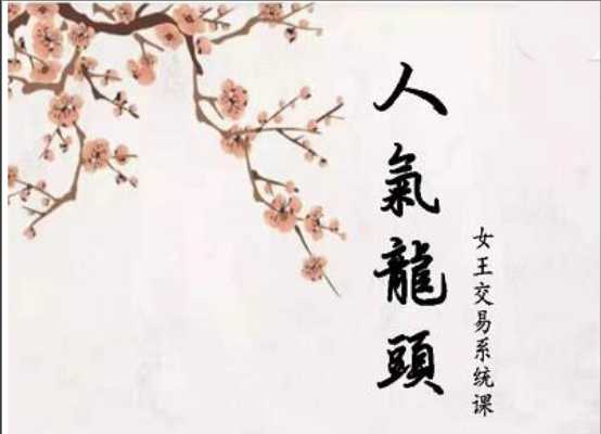 【短线女王】人气龙头基础视频课程-大熊猫资源站